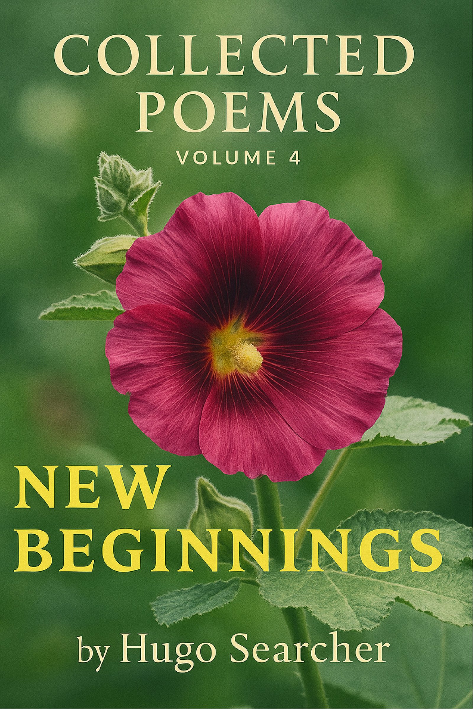 Book_Back_Covers_front-04 (1)