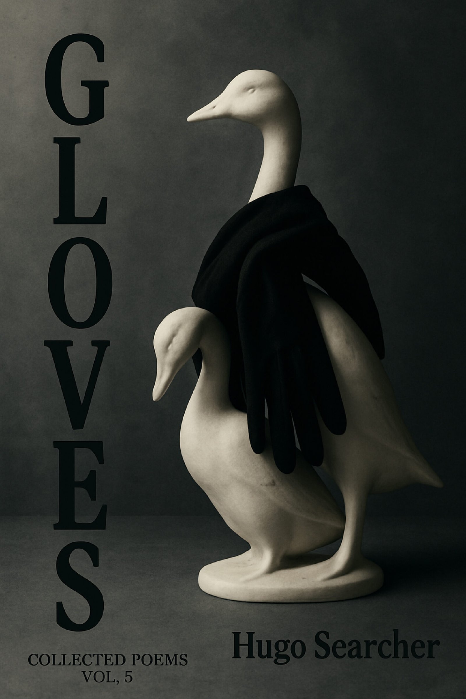 Book_Back_Covers_front-05 (1)